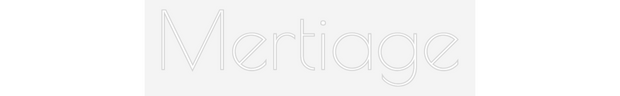Custom Neon: Mertiage
