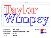 Custom Neon - Taylor Wimpey - 100cm - dimmer and delivery
