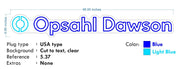 Custom neon - Opsahl Dawson  - 48x 6.6inch  -  Light Blue and Blue - incl Shipping and 2yrs Warranty