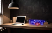 Custom Neon for Allison - EQT signs  - dimmer and delivery