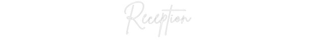 Custom Neon: Reception